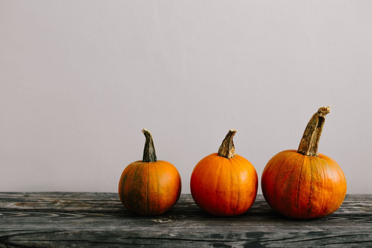 kaboompics_Variety of Pumpkins