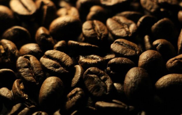 coffee beans